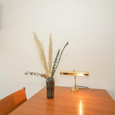 Apartment With Free Baselcard - Picasso
